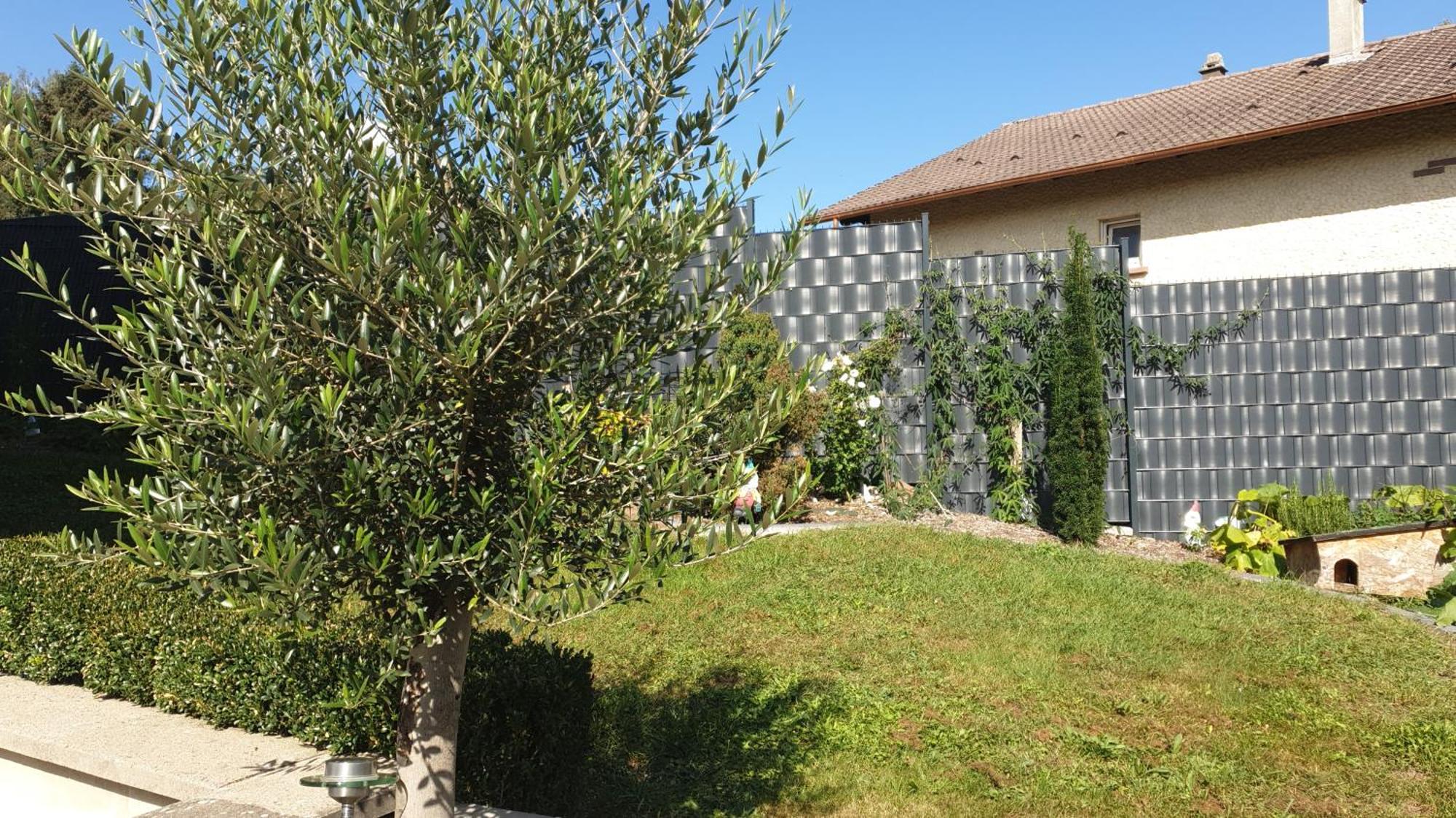 Le Gite Du Fort Bitche Bagian luar foto